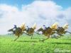 pato, Chocobos 9