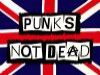 punks_unites
