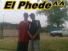 phede_34