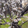 Fotolog de xxstephencrowxx