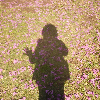 Fotolog de benip_