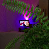 Fotolog de r3sacam00d