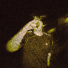 Fotolog de whofucksyou