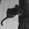 Fotolog de camipcq