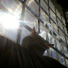 Fotolog de chuschana