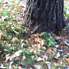 Fotolog de hiperbicho