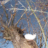 Fotolog de andypandaverde