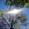 Fotolog de benip_