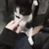 Fotolog de nethzita_333