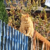 Fotolog de mvnakata