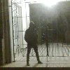 andypandaverde, flores robadas 692