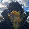 Fotolog de ropasuciiaa