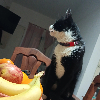 Fotolog de luzomg