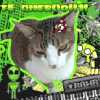 Fotolog de alenmoxxitoo127