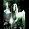 Fotolog de m4xxw3ll_