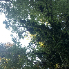 Fotolog de zezeeemc_