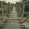 Fotolog de z0mbik0rnio