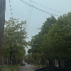 Foto de aravenanoavena_1