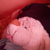 Fotolog de pu_k1t0