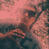 dom_gr1ng0_s0y