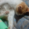 Foto de agusmustdiexd