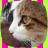 Fotolog de alenmoxxitoo127