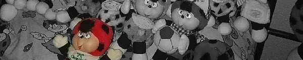 Fotolog de aleinsecto1 - Fotolog de aleinsecto1