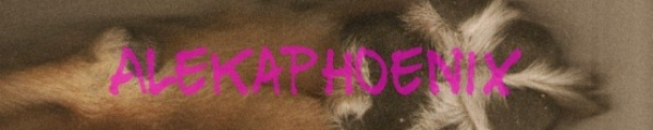 🐶🐱🐶🐱 - Fotolog de alekaphoenix
