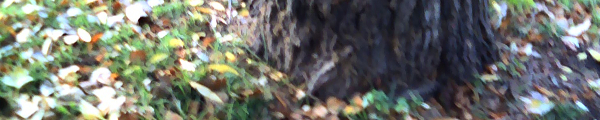 Hiperbichados - Fotolog de hiperbicho