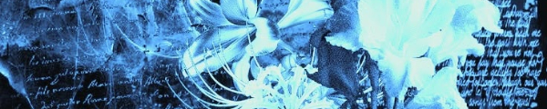 𝕷𝟏𝖑𝖎𝖙𝖍𝖇𝖊𝖗!&iexcl; - Fotolog de l1lithber_