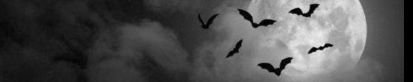 Fotolog de r4v3n_xx - Fotolog de r4v3n_xx