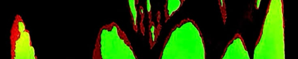 Fotolog de rigor_mor7is - Fotolog de rigor_mor7is