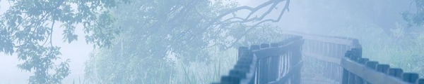 ⋆౨ৎ˚⟡˖ ࣪ - Fotolog de st4rlljh_