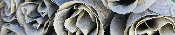 EmoChill_girl77 - Fotolog de ymehc11